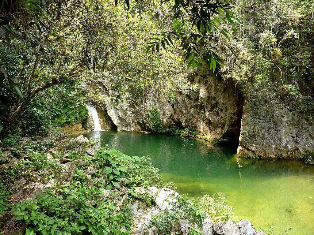 A swimming hole in Trinidad