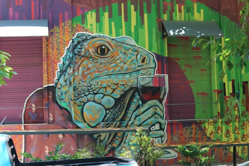 Street art in the Mendoza wine region