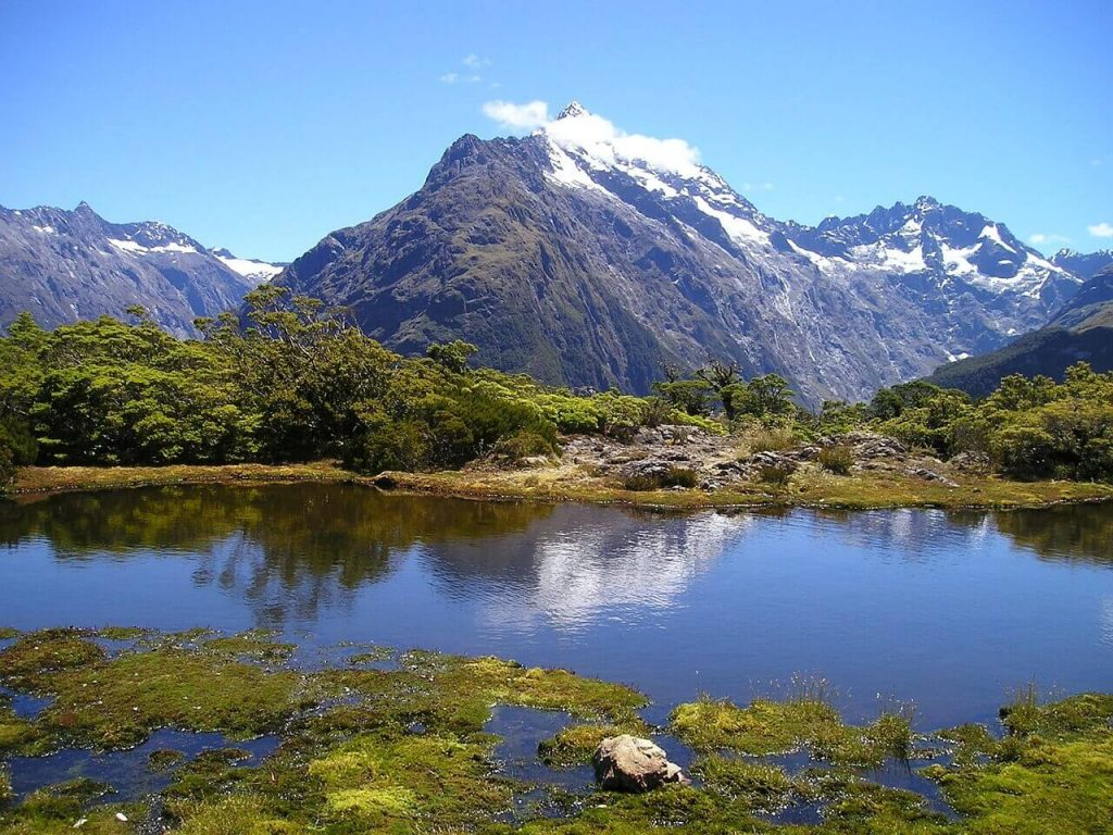 Beautiful landscaping you can see on an Australia ad New Zealand itinerary