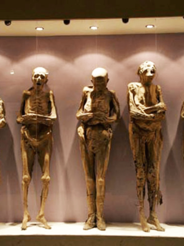 THE ENIGMATIC MUMMIES OF GUANAJUATO, MEXICO STORY - Travels with Talek