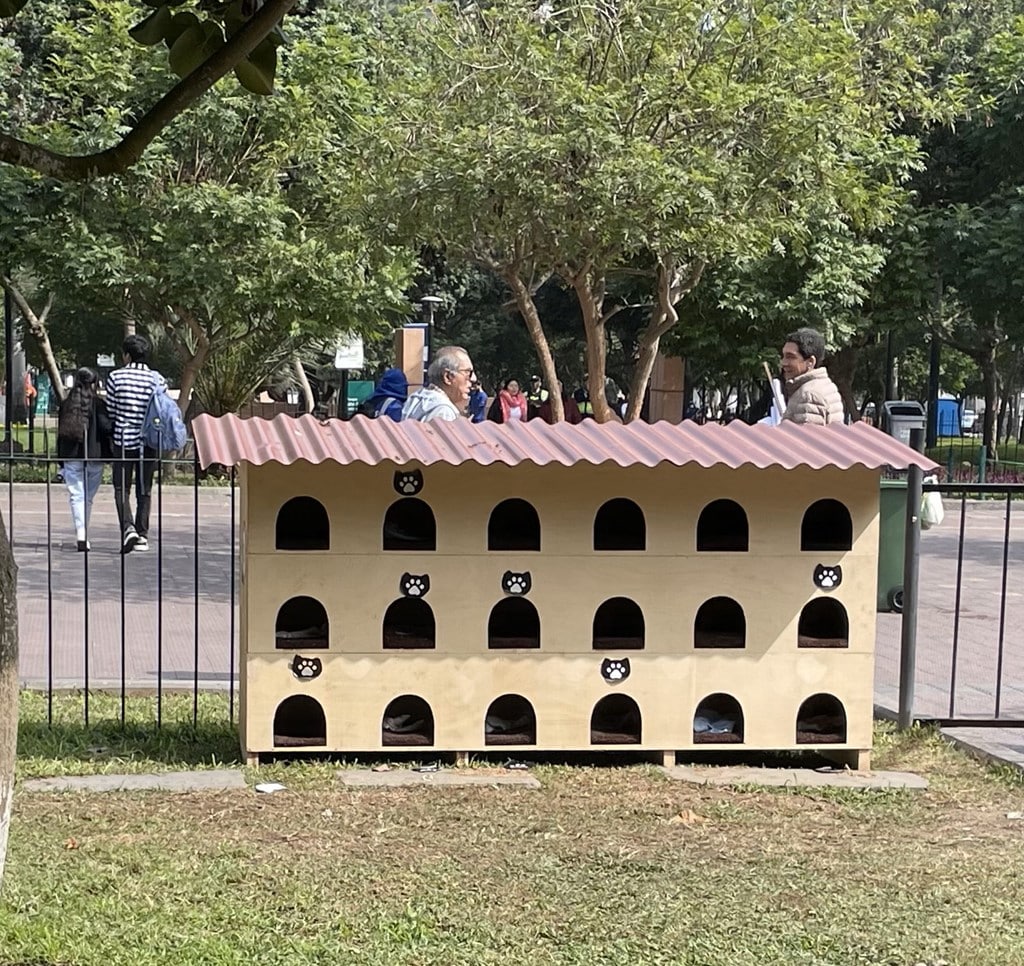 Lima's cat hotel