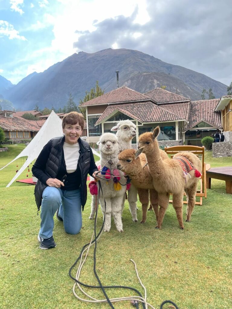 Talek at a llama sanctuary. Visiting one is one of the most interesting things to do in Peru