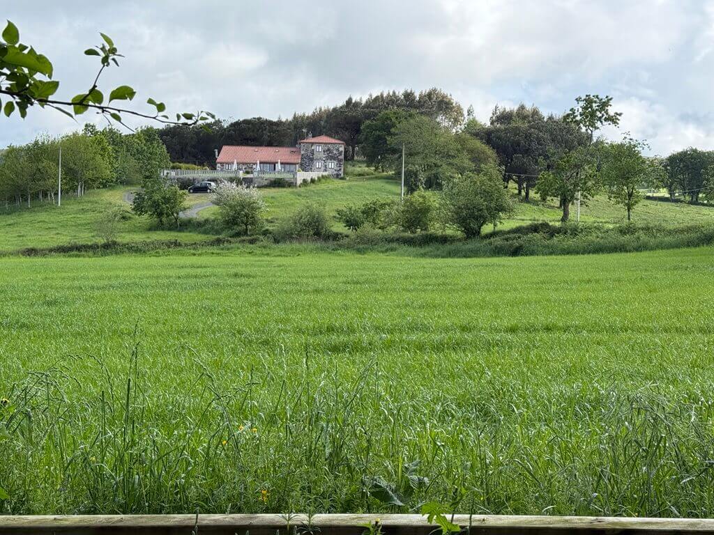 Country houses dt the countryside