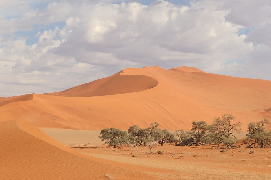The otherworldly landscapes of Namibia