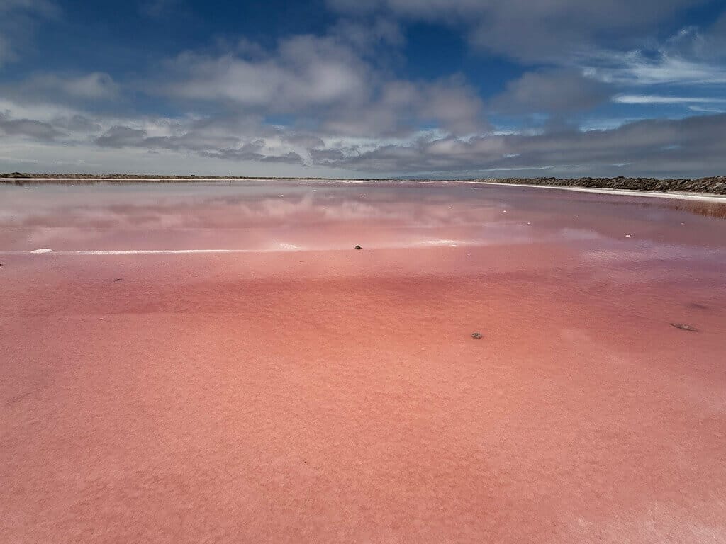 Pink sands of Walvis Bay lake
