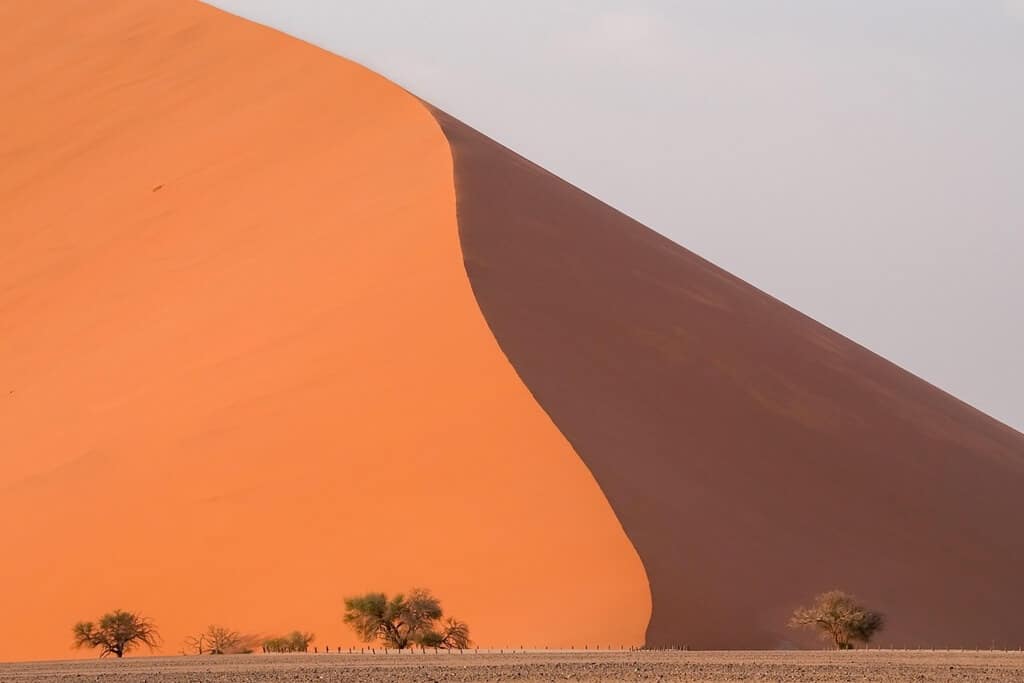 dunes in Namibia