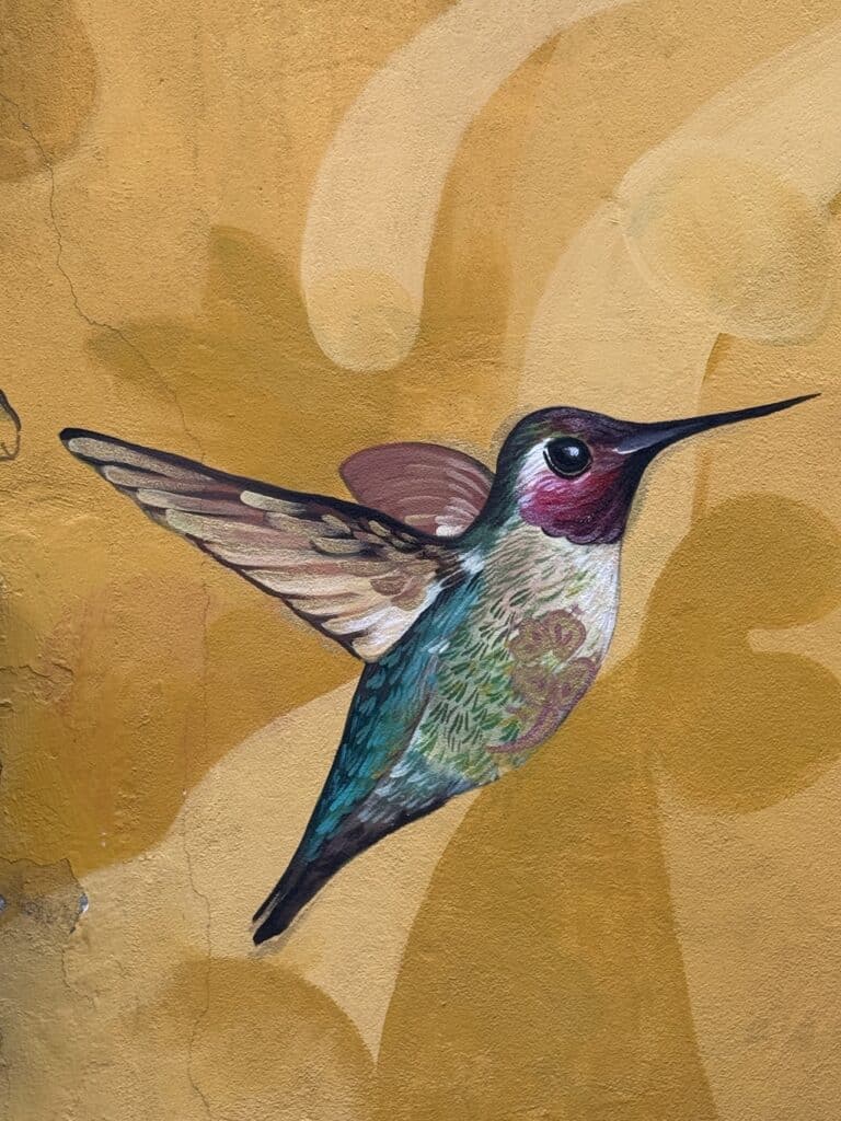Oaxacan street art
