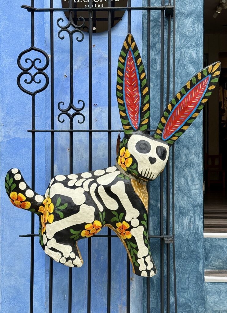 Oaxacan street art