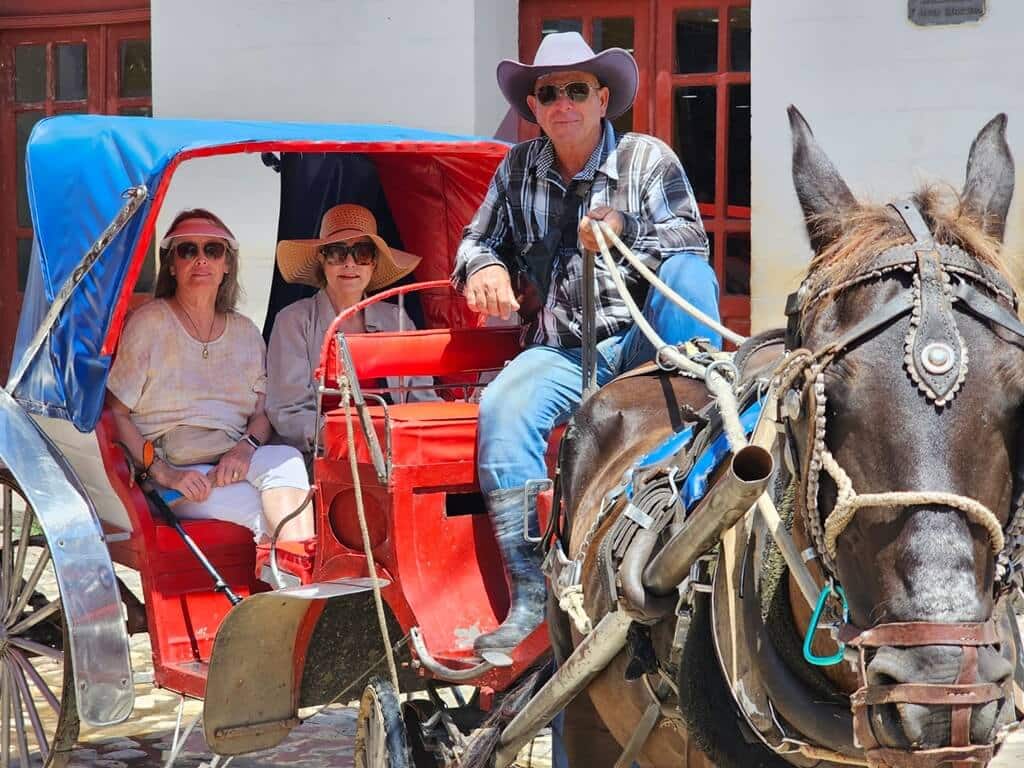 Women over 50 enjoying a carriage ride