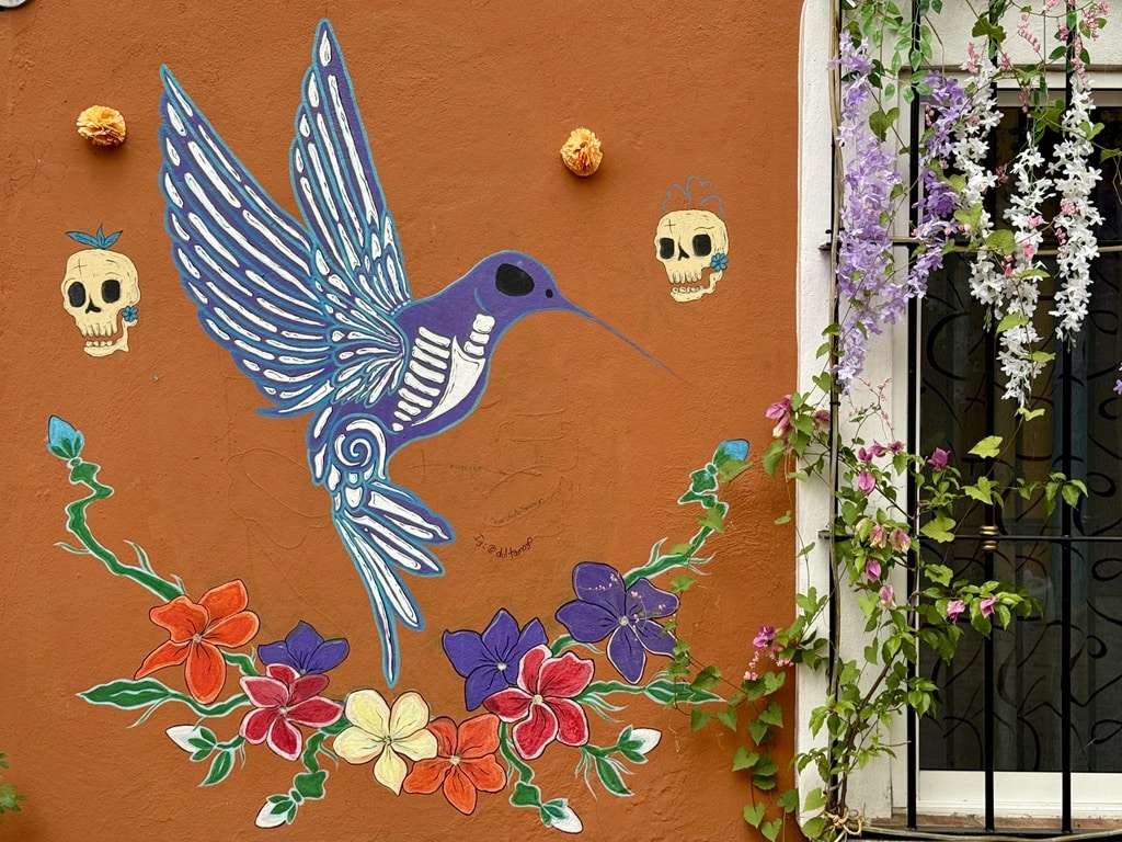Oaxaca street art