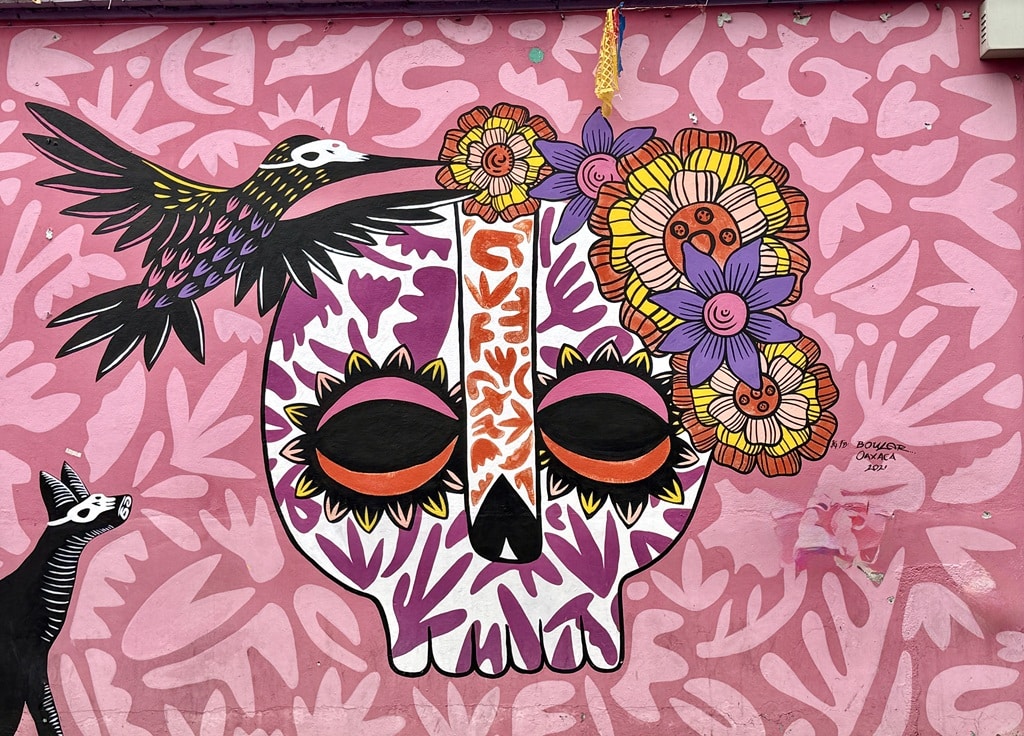Oaxaca street art